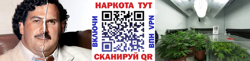 Купить закладку Кокаин  ЭКСТАЗИ  МАРИХУАНА  Меф  Киселёвск