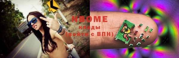 прущие грибы Верея