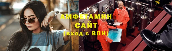 прущие грибы Верея