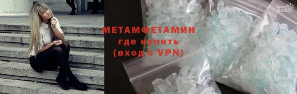 прущие грибы Верея
