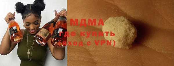 прущие грибы Верея