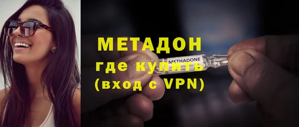 прущие грибы Верея