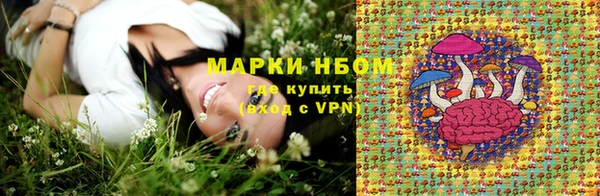 прущие грибы Верея