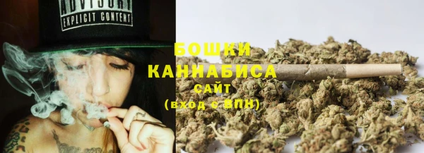 прущие грибы Верея