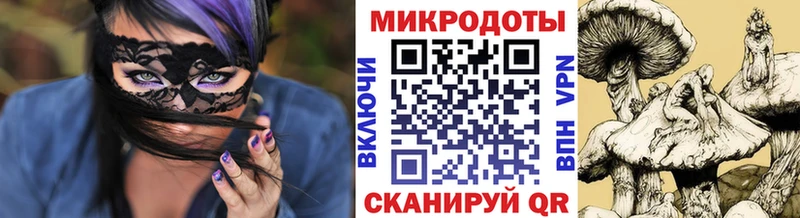 Псилоцибиновые грибы мухоморы  Купить закладки  Киселёвск 